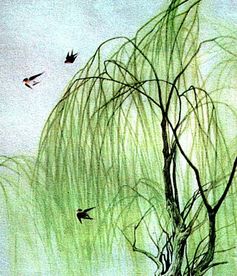 咏柳的意思，咏柳的意思 翻译