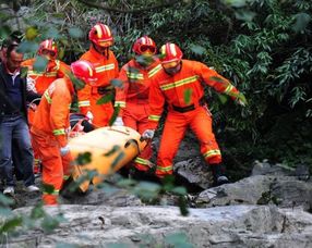 殉职的意思解释