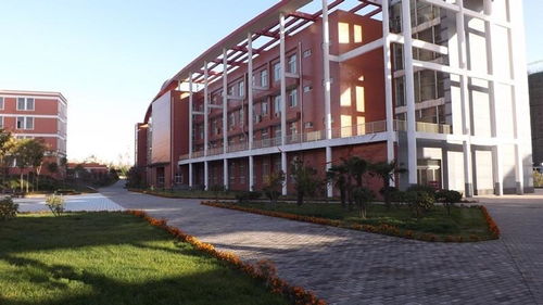 郑州城市职业学院的缺点