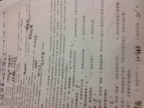 形容外貌的词语有哪些四字词语