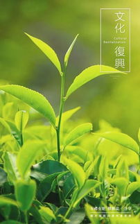 满山郁葱葱,人在草木中.猜一字