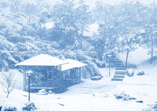 形容雪景的优美句子