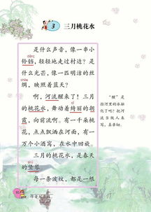 高中语文课有哪些课文