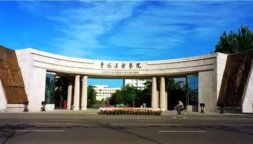 鲁美考研研究生多少分过