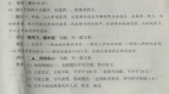 2019年舟山中考作文题目,如何审题立意点评解析(评分标准)