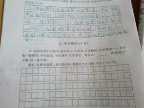 写事作文六年级五百字