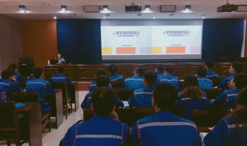 需要给人事干部培训哪些内容