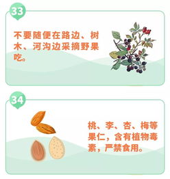 我身边的食品安全征文，我身边的食品安全征文800字