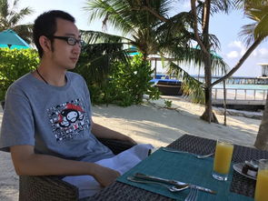 零敲碎打的意思