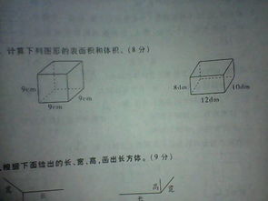 表面积的公式是什么?
