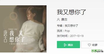 我又想你了我不敢闭上双眼是什么歌