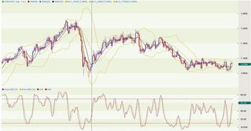 数农，数农是什么