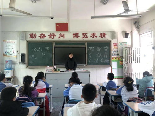 驾驶员交通安全培训内容