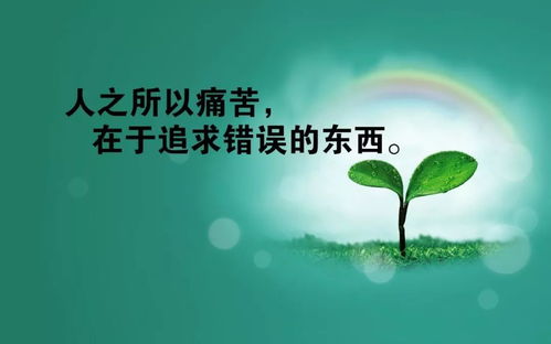 孩子努力励志的句子，高中孩子努力励志的句子