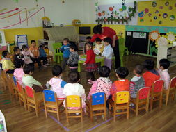 什么是区域活动