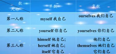 it的中文解释