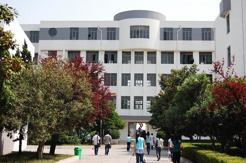 泰州本科学校有哪些