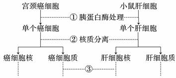 神经调节基本方式，神经调节基本方式的教材分析