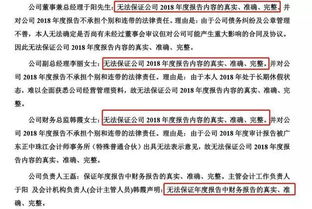 年度报告是什么意思