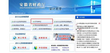 安徽会计网为什么显示网页走丢了