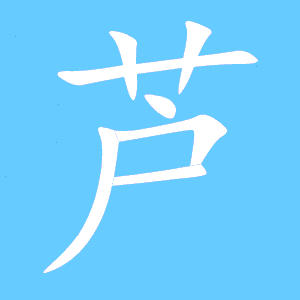 芦的组词，蘑的组词