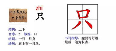 “鸟”字怎么组词?