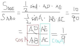 三角形的面积计算公式