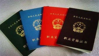 四川省人力资源社会保障厅教师中高职称评审公示