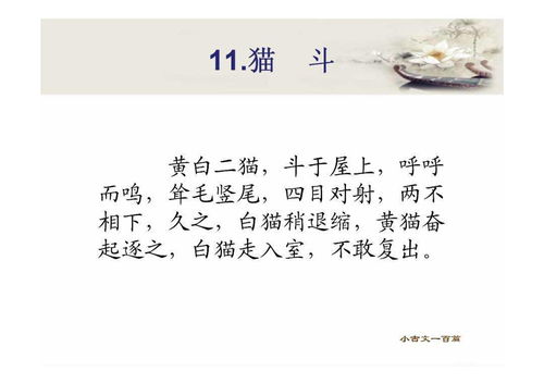 猫斗小古文中的走是什么意思?