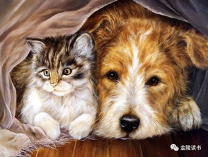 《猫狗鼠》内容梗概是什么?