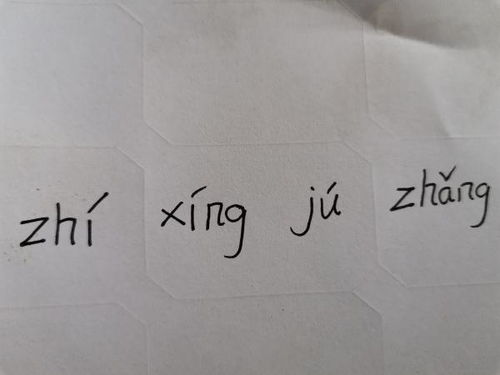 执行的拼音