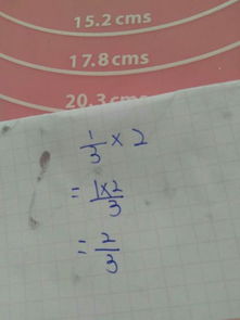 分数乘整数怎么算，分数乘整数怎么算过程