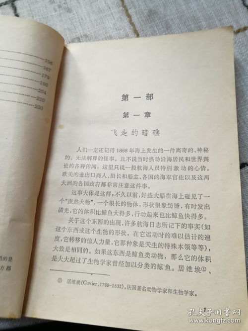 海底两万里每一章批注及赏析怎么写?