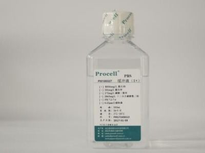 pbs缓冲液的作用