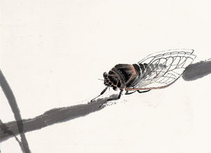 緌的读音是什么?