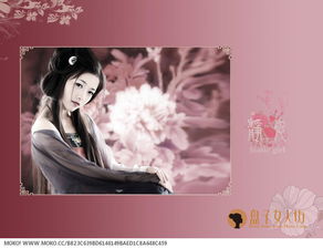 静女》原文及翻译?