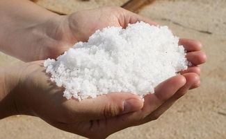 粗盐和细盐有何区别