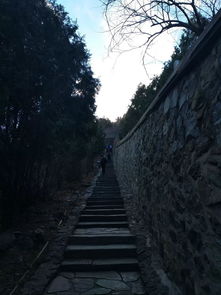 北京的香山海拔高度