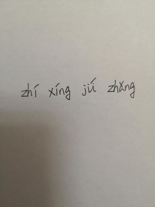 执行是什么意思