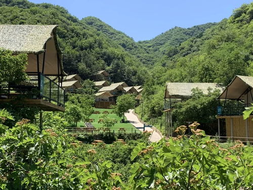 乡村建设的具体内容有哪些