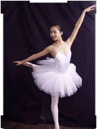 挺拔之姿第二段竹子的特点