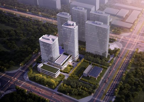 石家庄高新开发区属于哪个区?