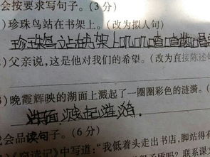 改陈述句怎么改?