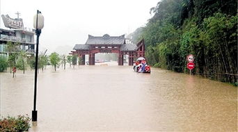 阆中今天天气
