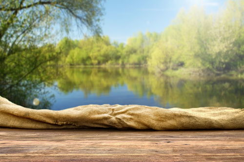 要写大自然的四字成语有哪些