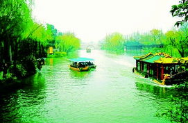 春风又绿江南岸，春风又绿江南岸电视剧