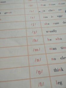 y的音标是怎么样的?