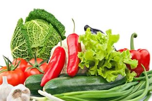 蔬东坡是做什么的?