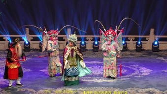 河北梆子,作为我国传统戏剧,其表现手法有何特点?