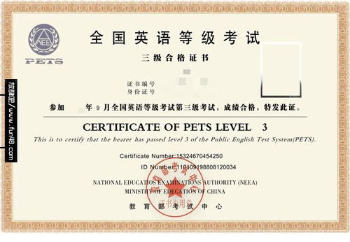 外语水平怎么填写，普通人外语水平怎么填写